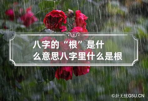 八字 根|八字有根无根到底是啥意思